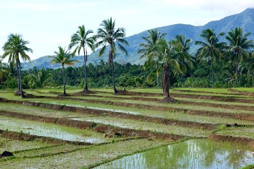 Future Farms landscape